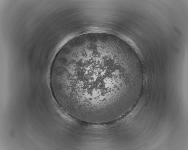 X0000111181427200907081226