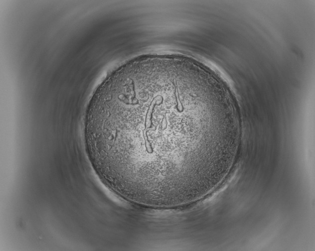 X0000111181429200907081226