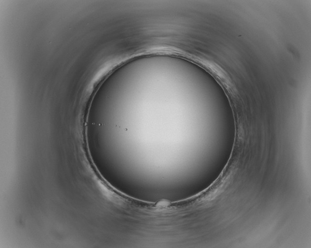 X0000111181430200907081226