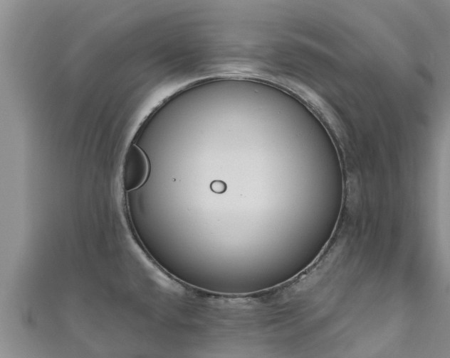 X0000111181432200907081226