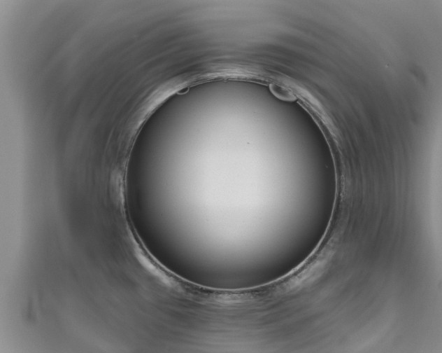 X0000111181433200907081226