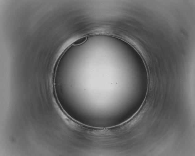 X0000111181434200907081226