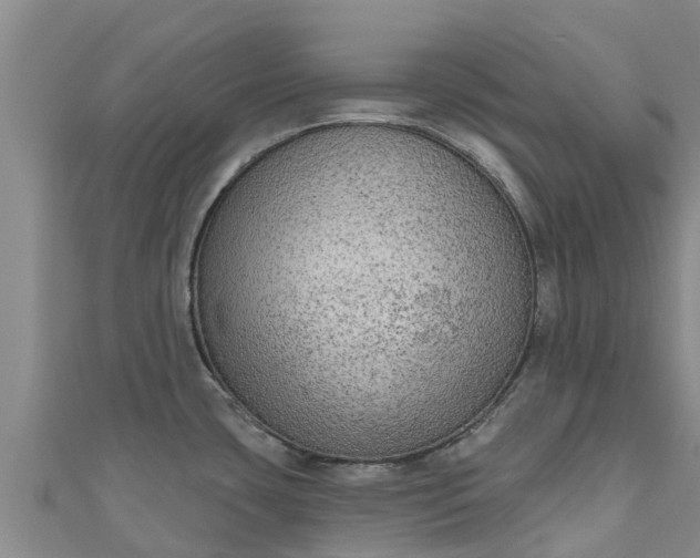 X0000111181435200907081226