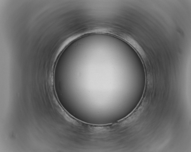 X0000111181436200907081226