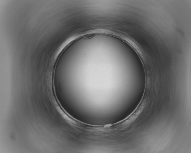 X0000111181438200907081226