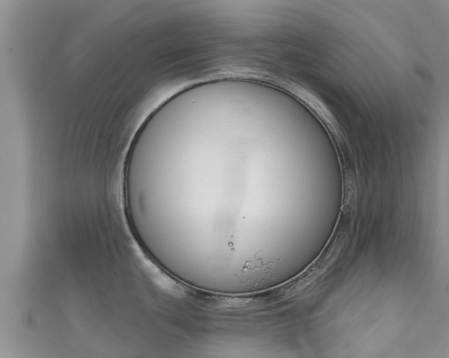 X0000111181439200907081226