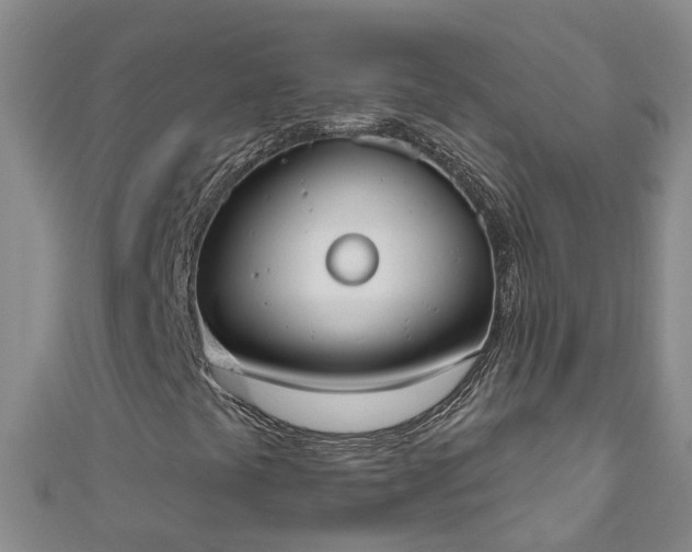 X0000111181441200907081226