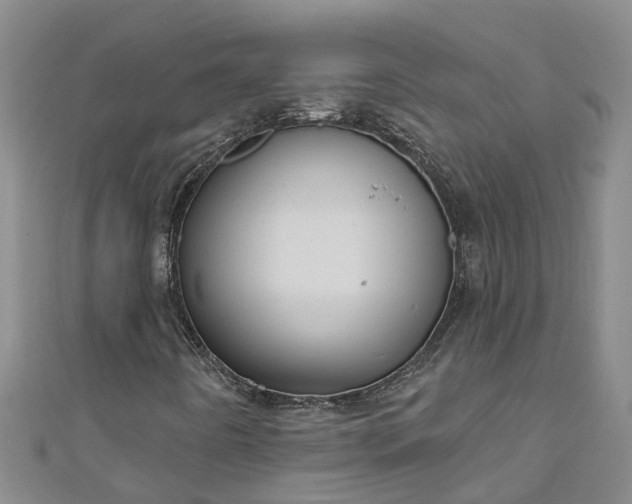 X0000111181442200907081226