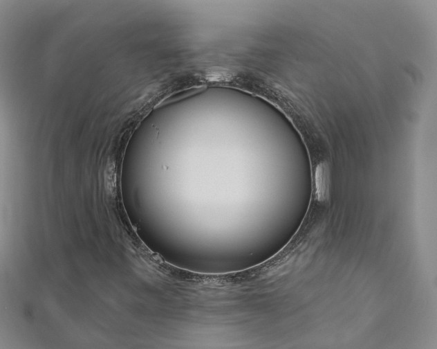 X0000111181443200907081226