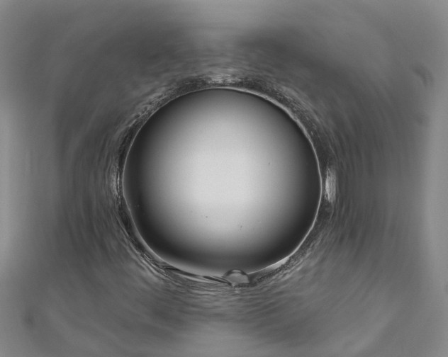 X0000111181444200907081226