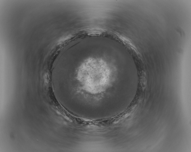 X0000111181445200907081226