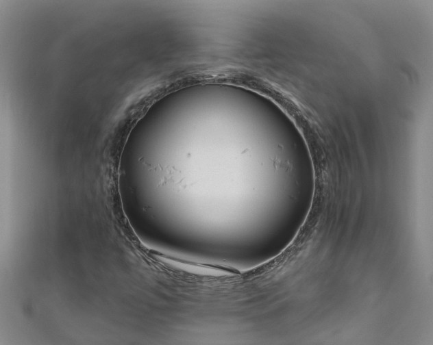 X0000111181447200907081226