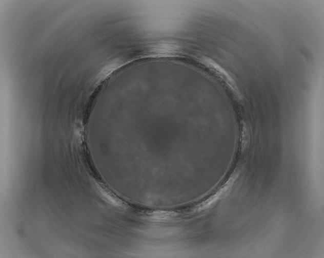 X0000111181449200907081226