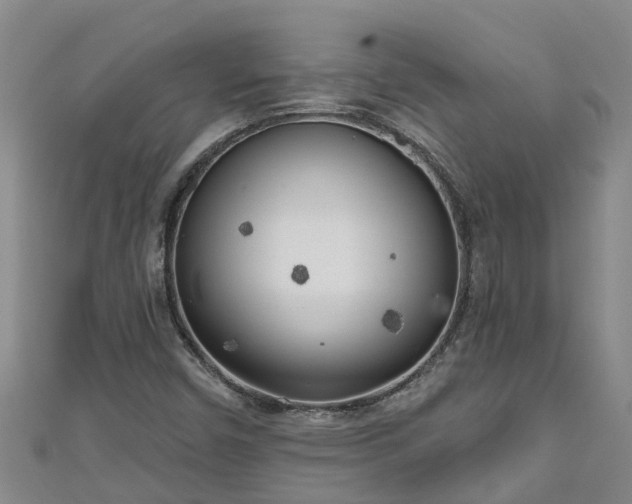 X0000111181450200907081226