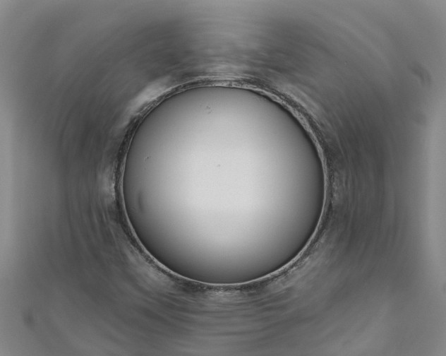 X0000111181451200907081226