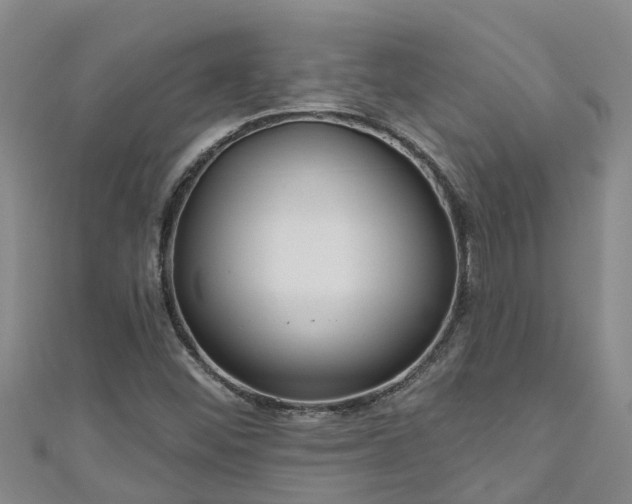 X0000111181452200907081226