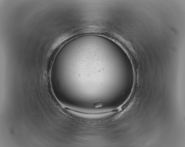 X0000111181453200907081225