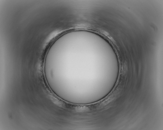 X0000111181454200907081225