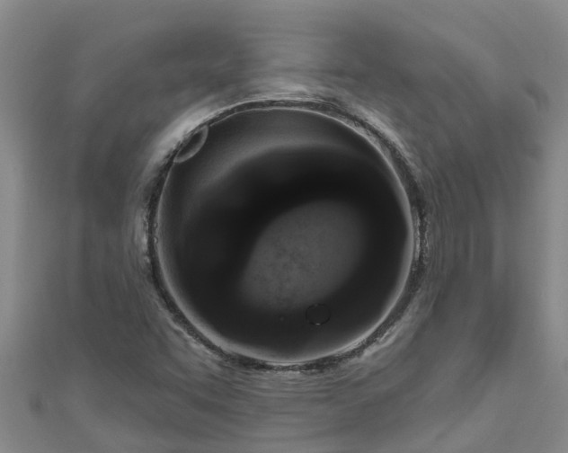 X0000111181455200907081225