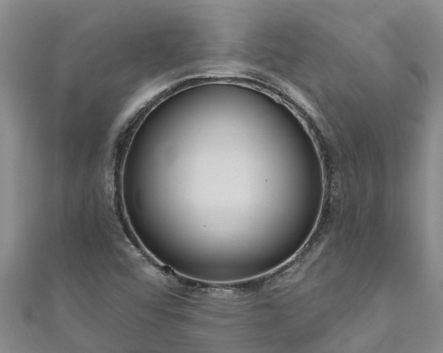 X0000111181456200907081225