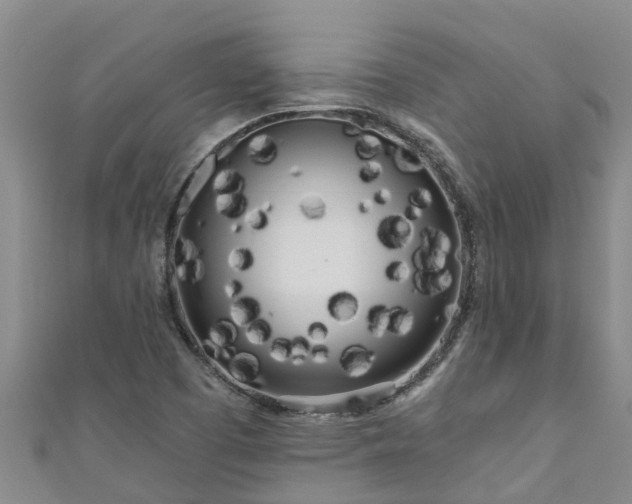 X0000111181457200907081225