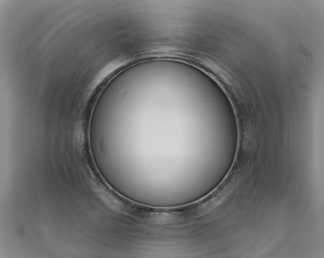 X0000111181458200907081225