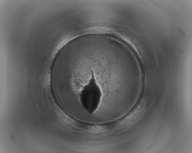 X0000111181459200907081225