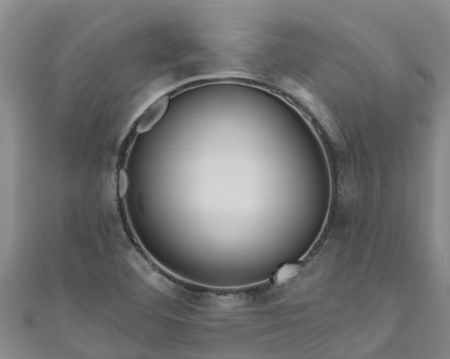 X0000111181460200907081225