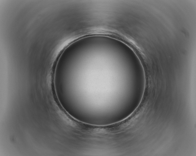 X0000111181463200907081225