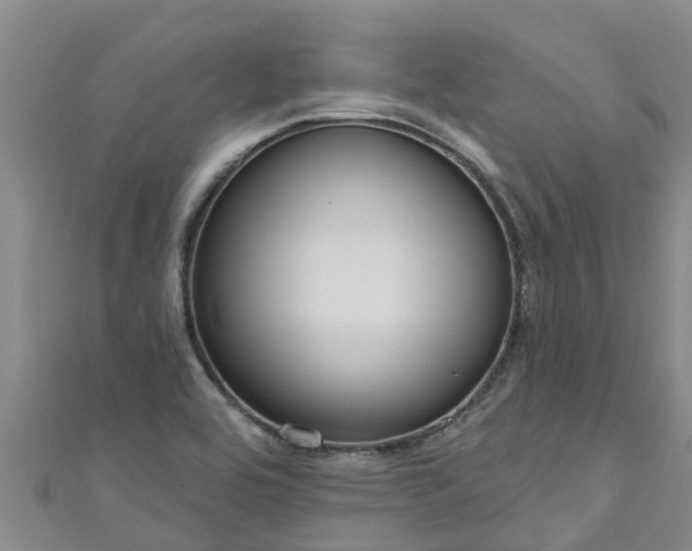 X0000111181464200907081225