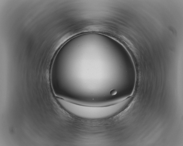 X0000111181465200907081225