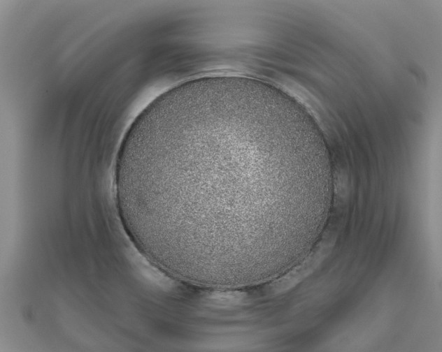 X0000111181466200907081225