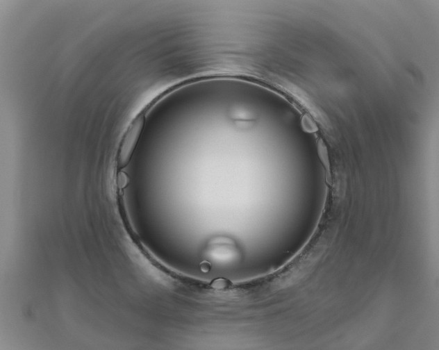 X0000111181468200907081225