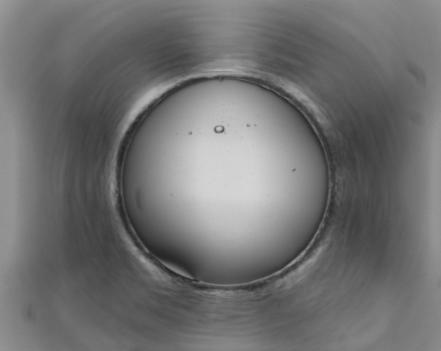 X0000111181469200907081225