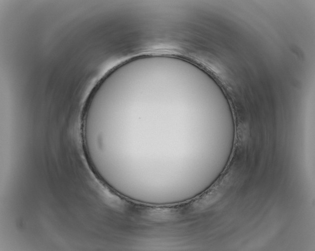 X0000111181470200907081225