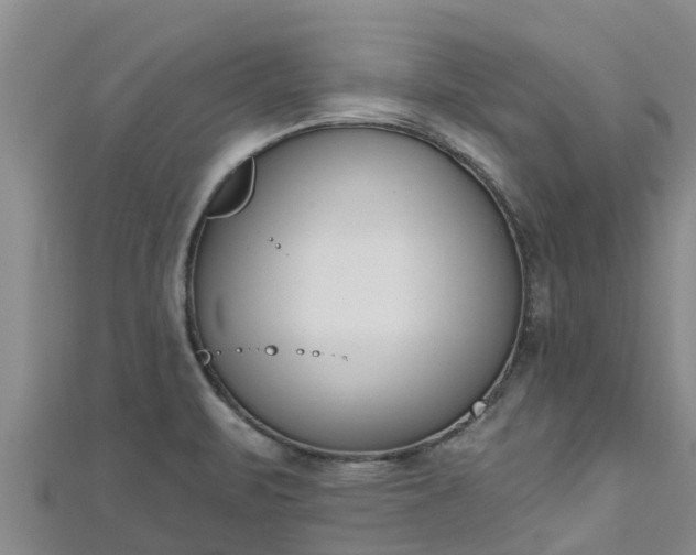 X0000111181471200907081225