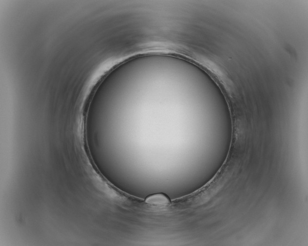 X0000111181472200907081225