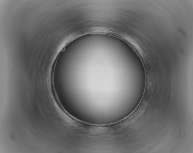 X0000111181475200907081225