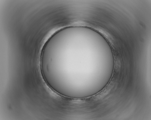 X0000111181478200907081225