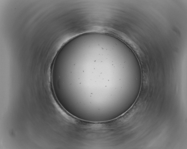 X0000111181479200907081225