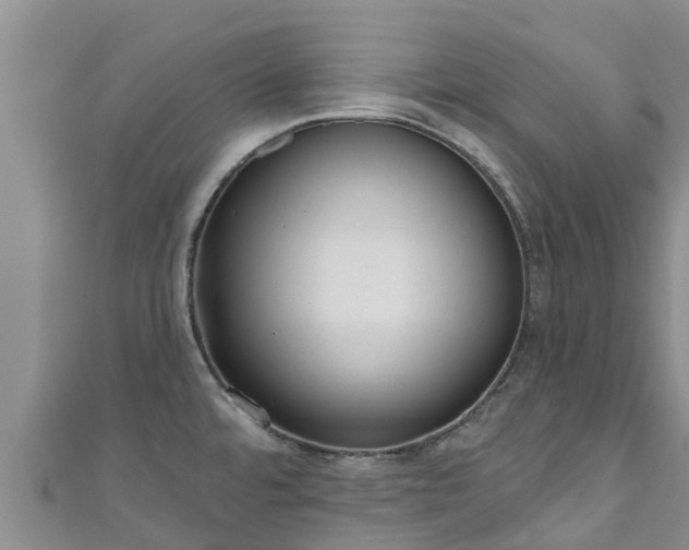 X0000111181480200907081225