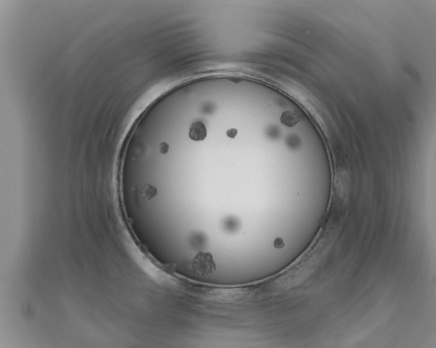 X0000111181482200907081225