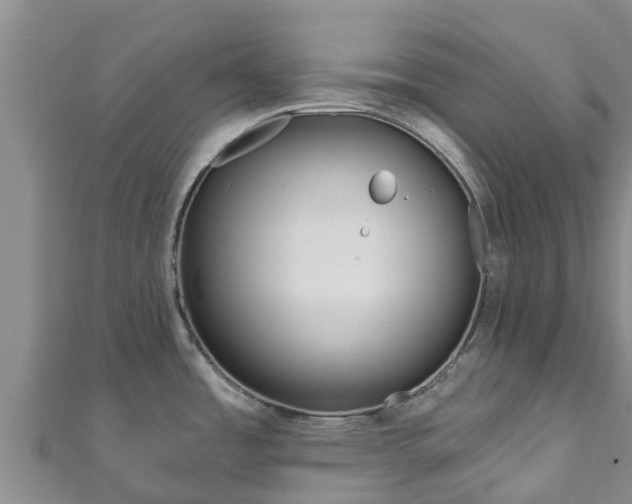 X0000111181485200907081225