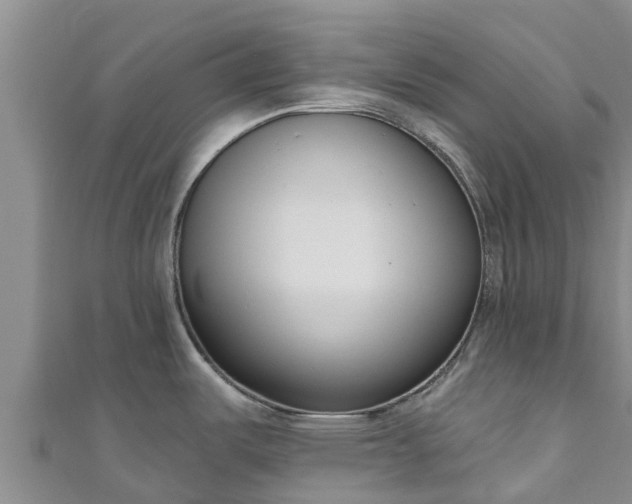 X0000111181487200907081225