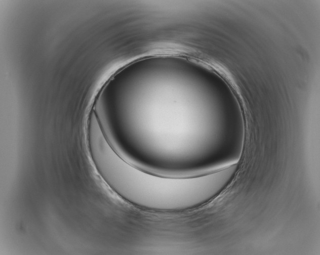 X0000111181488200907081225