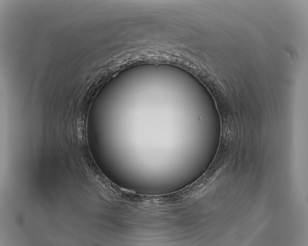 X0000111181490200907081224