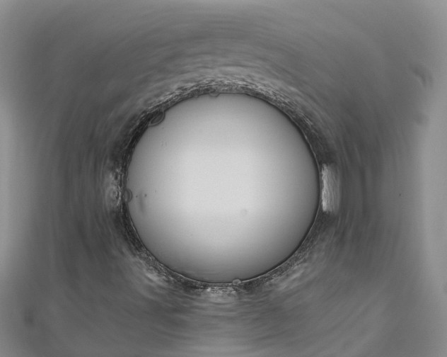 X0000111181491200907081224