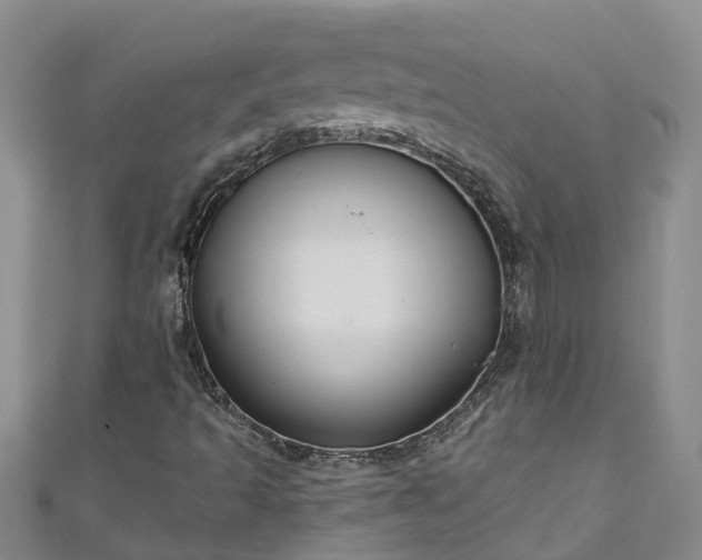 X0000111181493200907081224