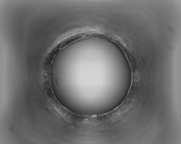 X0000111181496200907081225