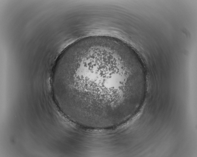 X0000111181497200907081225